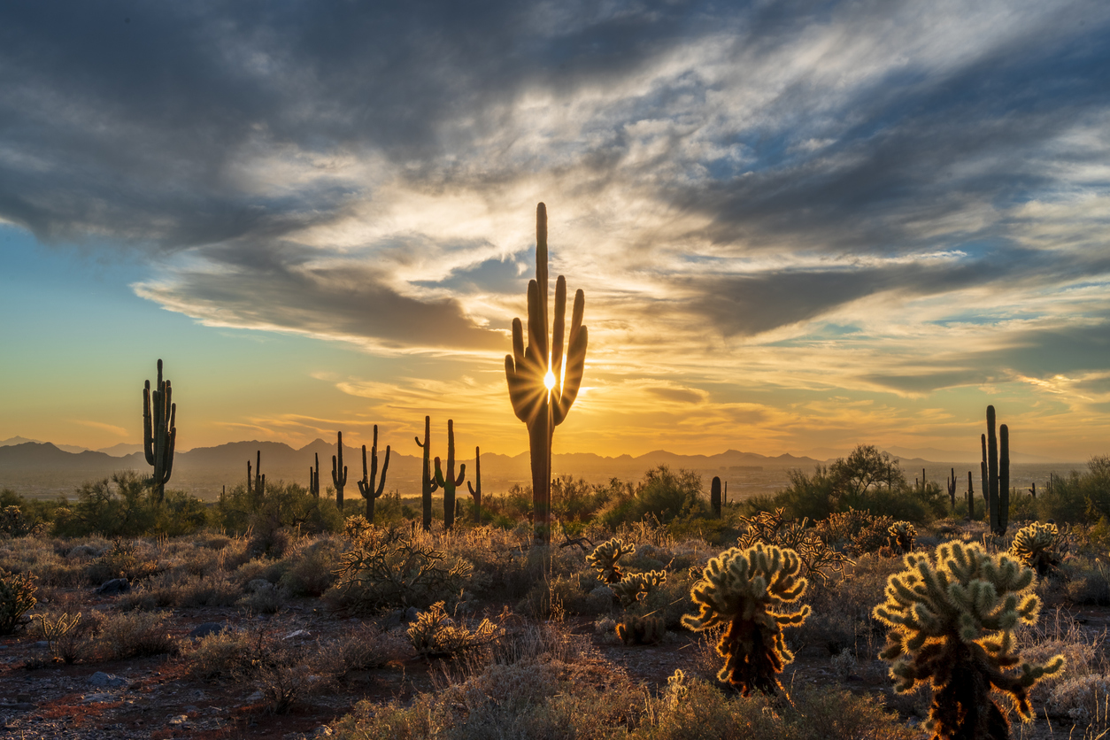 Tucson Sunset